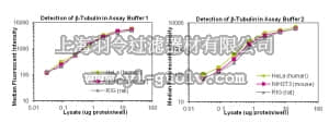 merck millipore,默克密理博,46-713MAG,MILLIPLEX MAP ß-Tubulin Total Magnetic Bead MAPmate™ - Cell Signaling Single Plex or Multiplex Assay