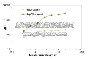 merck millipore,默克密理博,46-714MAG,MILLIPLEX MAP Phospho RPS6 Magnetic Bead MAPmate - Cell Signaling Multiplex Assay