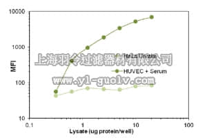 merck millipore,默克密理博,46-716MAG,MILLIPLEX MAP Phospho Tie2 Magnetic Bead MAPmate - Cell Signaling Multiplex Assay