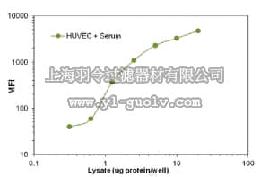 merck millipore,默克密理博,46-717MAG,MILLIPLEX MAP Total Tie2 Magnetic Bead MAPmate - Cell Signaling Multiplex Assay