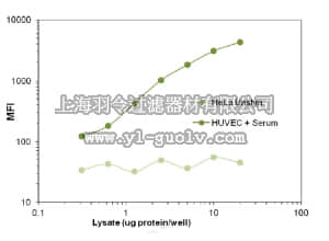 merck millipore,默克密理博,46-718MAG,MILLIPLEX MAP Phospho VEGFR2 (pan Tyr) Magnetic Bead MAPmate - Cell Signaling Multiplex Assay