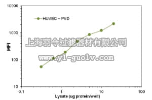 merck millipore,默克密理博,46-719MAG,MILLIPLEX MAP Total VEGFR2 Magnetic Bead MAPmate - Cell Signaling Multiplex Assay
