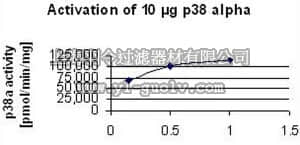 merck millipore,默克密理博,475701,MKK6, GST-Fusion, Human, Recombinant, E. coli