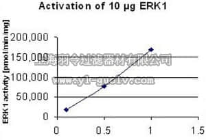 merck millipore,默克密理博,475702,MEK1, GST-Fusion, Human, Recombinant, E. coli
