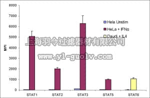 merck millipore,默克密理博,48-610MAG,MILLIPLEXMAP STAT Cell Signaling Magnetic Bead 5-Plex Kit - Cell Signaling Multiplex Assay