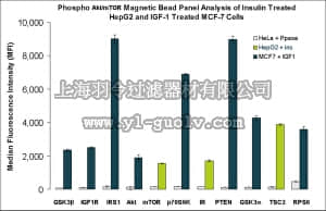 merck millipore,默克密理博,48-611MAG,MILLIPLEX MAP Akt/mTOR Phosphoprotein Magnetic Bead 11-Plex Kit - Cell Signaling Multiplex Assay