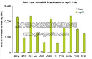 merck millipore,默克密理博,48-612MAG,MILLIPLEX MAP Total Akt/mTOR Magnetic Bead 11-Plex Kit - Cell Signaling Multiplex Assay