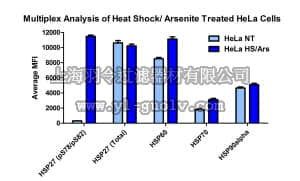 merck millipore,默克密理博,48-615MAG,MILLIPLEX MAP Heat Shock Protein Magnetic Bead 5-Plex Kit - Cell Signaling Multiplex Assay