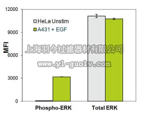 merck millipore,默克密理博,48-619MAG,MILLIPLEX MAP Total/Phospho Erk - Cell Signaling Multiplex Assay