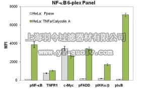 merck millipore,默克密理博,48-630MAG,MILLIPLEXMAP NF-κB Signaling Magnetic Bead Kit 6-plex Kit - Cell Signaling Multiplex Assay