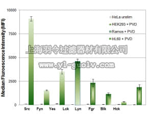merck millipore,默克密理博,48-650MAG,MILLIPLEX MAP 8-Plex Human Src Family Kinase Kit – Phosphoprotein - Cancer Multiplex Assay