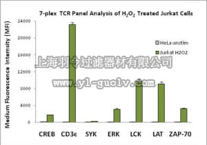 merck millipore,默克密理博,48-690MAG,MILLIPLEX MAP T-Cell Receptor Signaling Magnetic Bead Kit 7-Plex - Cell Signaling Multiplex Assay