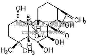 merck millipore,默克密理博,496915,Oridonin, R. rubescens - CAS 28957-04-2 - Calbiochem