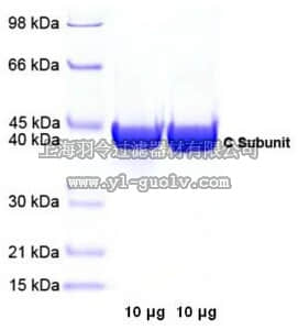 merck millipore,默克密理博,539576,PKA, Catalytic Subunit, Bovine Heart