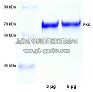 merck millipore,默克密理博,539578,PKG, Iα, Bovine Lung