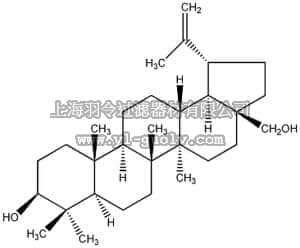 merck millipore,默克密理博,569371,SREBP Processing Inhibitor, Betulin - CAS 473-98-3 - Calbiochem