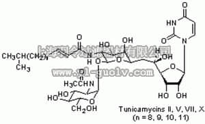 merck millipore,默克密理博,654380,Tunicamycin, Streptomyces lysosuperficus - CAS 11089-65-9 - Calbiochem