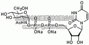 merck millipore,默克密理博,670107,UDP-α-D-N-Acetylglucosamine, Disodium Salt - CAS 91183-98-1 - Calbiochem