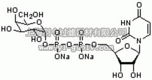 merck millipore,默克密理博,670111,UDP-α-D-Galactose, Disodium Salt - CAS 137868-52-1 - Calbiochem