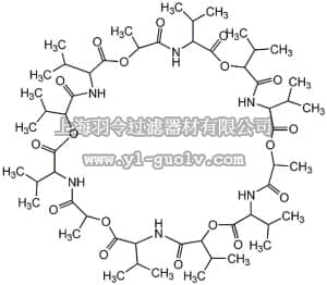 merck millipore,默克密理博,676377,Valinomycin, Streptomyces fulvissimus - CAS 2001-95-8 - Calbiochem