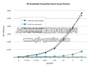 merck millipore,默克密理博,70-510,NFκB p50/p65 EZ-TFA Transcription Factor Assay (Colorimetric)