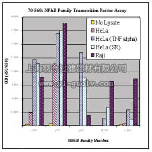 merck millipore,默克密理博,70-560,NFκB Family EZ-TFA Transcription Factor Assay Colorimetric Kit