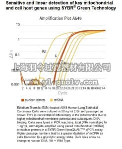 merck millipore,默克密理博,72620,NovaQUANT™ Human Mitochondrial to Nuclear DNA Ratio Kit