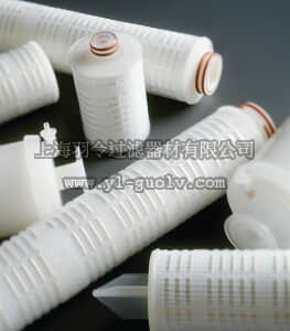 merck millipore,默克密理博,CP2051S03,Lifegard™ Cartridge Filter 10 in. 2.0 µm Code 5
