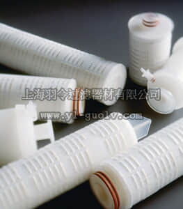 merck millipore,默克密理博,CGW6M4S03,Polysep II Cartridge Filter 4 in. 0.5 µm Code M