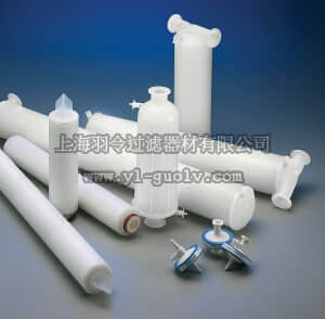 merck millipore,默克密理博,KHGLG10FF1,Opticap Gamma Compatible Multilayer XL10 Durapore 0.45/0.22 µm 3/4 in. TC/TC