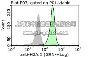 merck millipore,默克密理博,AB10022,Anti-Histone H2A.X Antibody