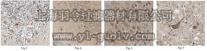 merck millipore,默克密理博,AB1580-I,Anti-Mu Opioid Receptor Antibody