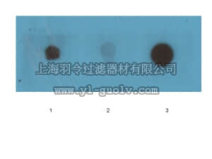 merck millipore,默克密理博,AB2286,Anti-Amyloid Fibrils OC Antibody