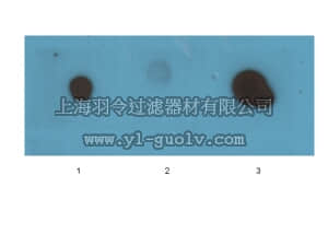 merck millipore,默克密理博,AB2287,Anti-Amyloid Fibrils LOC Antibody