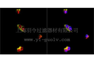 merck millipore,默克密理博,AB5682,Anti-Neurogenin-2 Antibody