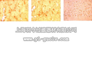 merck millipore,默克密理博,AB9983,Anti-Tyrosine Hydroxylase Antibody