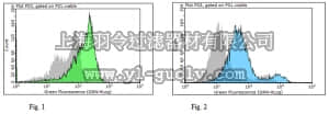 merck millipore,默克密理博,ABC505,Anti-hERV-WL Antibody
