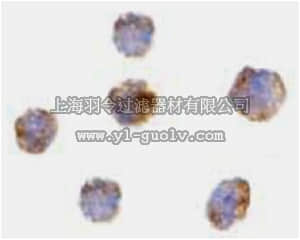 merck millipore,默克密理博,ABC843,Anti-GITRL Antibody