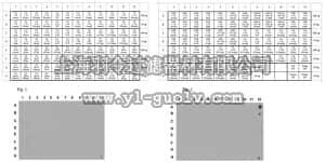 merck millipore,默克密理博,ABE1065,Anti-acetyl Histone H2B Antibody (Lys5)