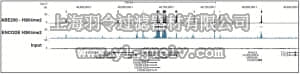 merck millipore,默克密理博,ABE250-S,Anti-dimethyl Histone H3 (Lys4) Antibody, Trial Size