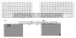 merck millipore,默克密理博,ABE328,Anti-dimethyl Histone H3 (Arg2) Antibody