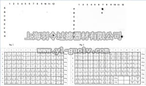 merck millipore,默克密理博,ABE418,Anti-phospho Histone H2A Antibody (Thr120)