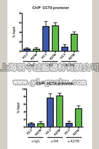 merck millipore,默克密理博,ABE419,Anti-Histone H3 Antibody, K27M mutant