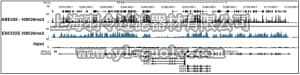 merck millipore,默克密理博,ABE435-S,Anti-trimethyl-Histone H3 (Lys36) Antibody, Trial Size