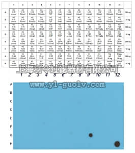 merck millipore,默克密理博,ABE459,Anti-dimethyl Histone H3 (Lys79) Antibody