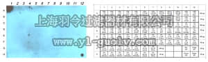 merck millipore,默克密理博,ABE533,Anti-acetyl Histone H4 Antibody (Lys16)