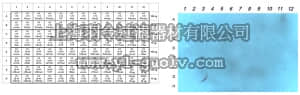 merck millipore,默克密理博,ABE536,Anti-acetyl Histone H3 Antibody (Lys27)