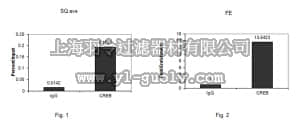 merck millipore,默克密理博,ABE553,Anti-CREB-1 Antibody