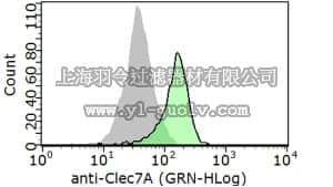 merck millipore,默克密理博,ABF119,Anti-CLEC7A (Dectin-1) Antibody