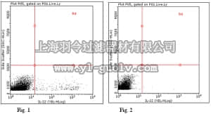 merck millipore,默克密理博,ABF15,Anti-Interleukin-22b Antibody
